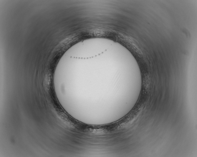 X0000112080645200908251105