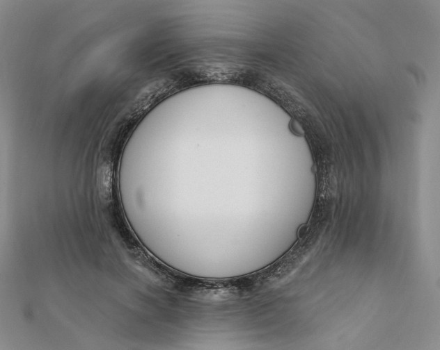 X0000112080646200908251105