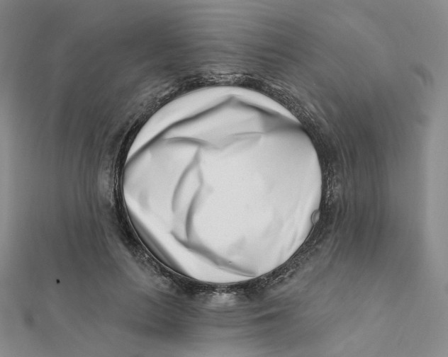 X0000112080647200908251105