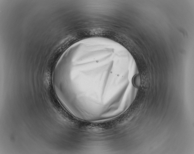 X0000112080648200908251105