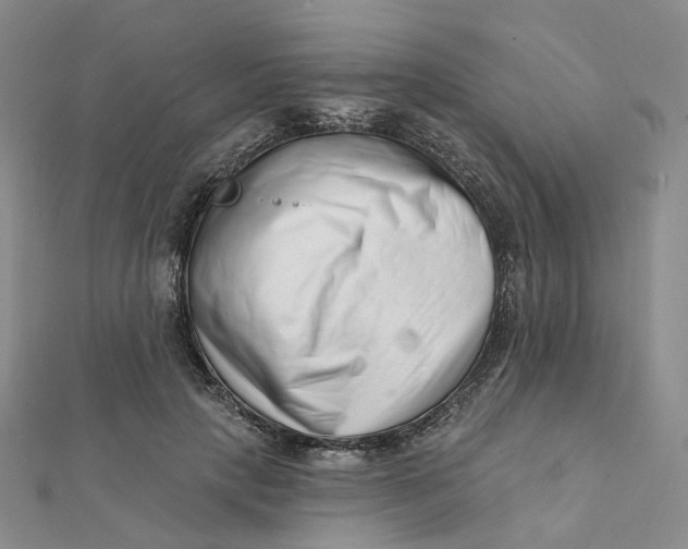 X0000112080649200908251105