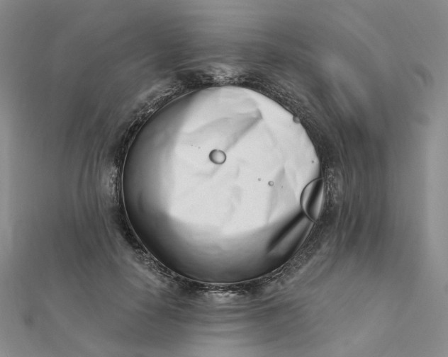 X0000112080650200908251105