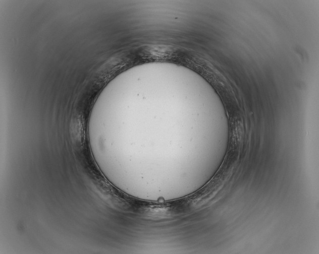 X0000112080651200908251105