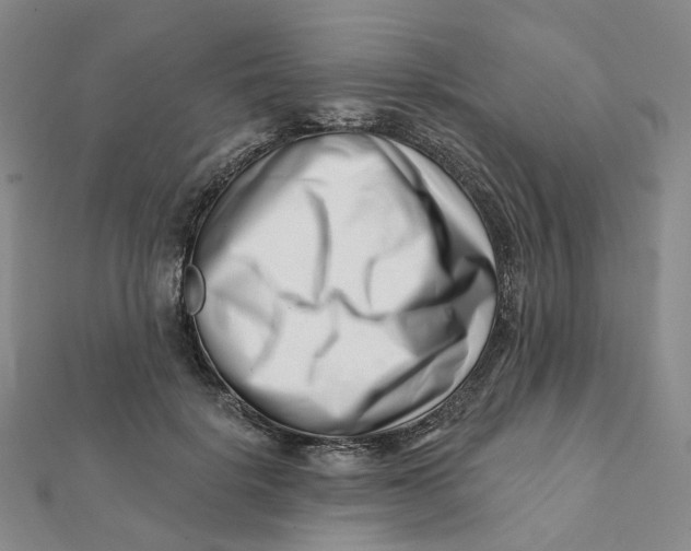 X0000112080652200908251105