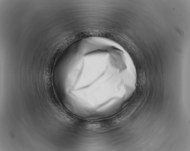 X0000112080653200908251105