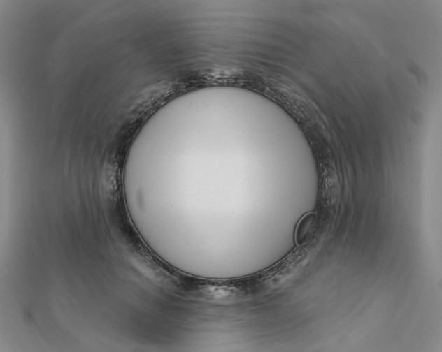 X0000112080654200908251105