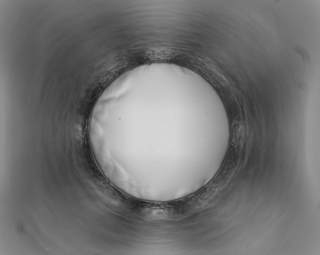X0000112080655200908251105