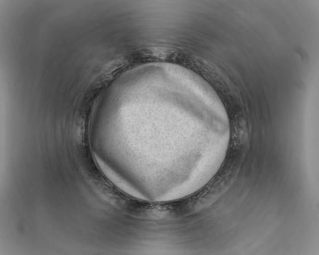X0000112080656200908251105