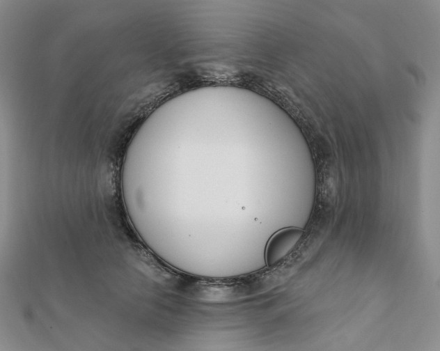 X0000112080658200908251105
