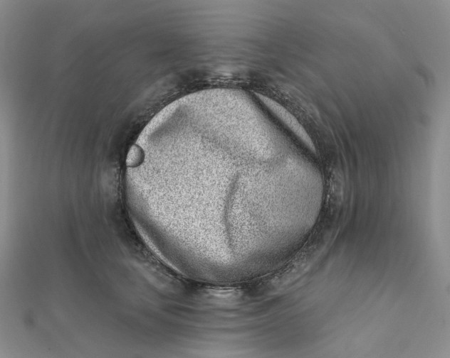 X0000112080659200908251105