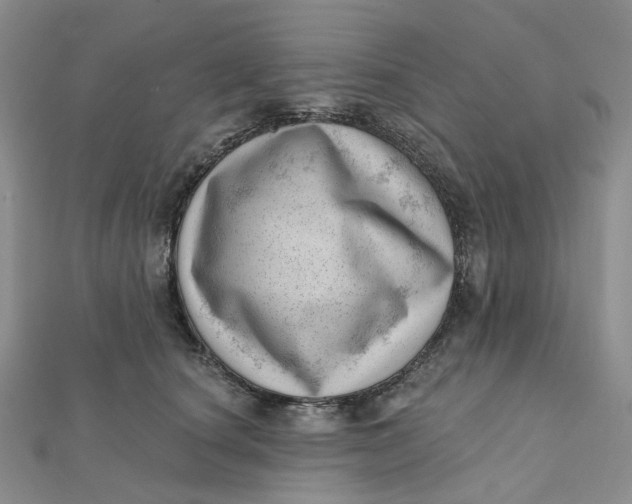 X0000112080660200908251105