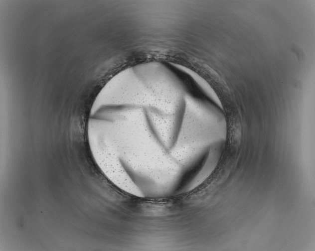 X0000112080661200908251105