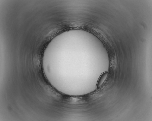 X0000112080662200908251105