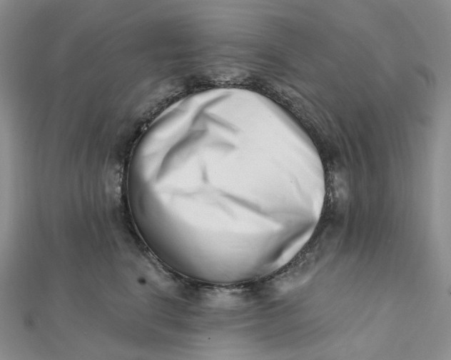 X0000112080664200908251105