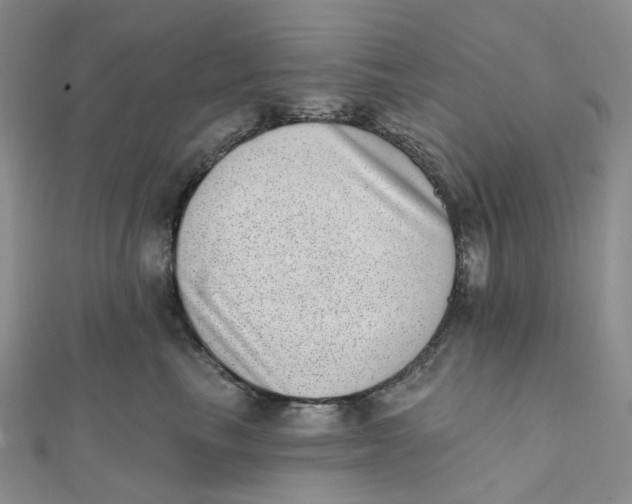 X0000112080665200908251105