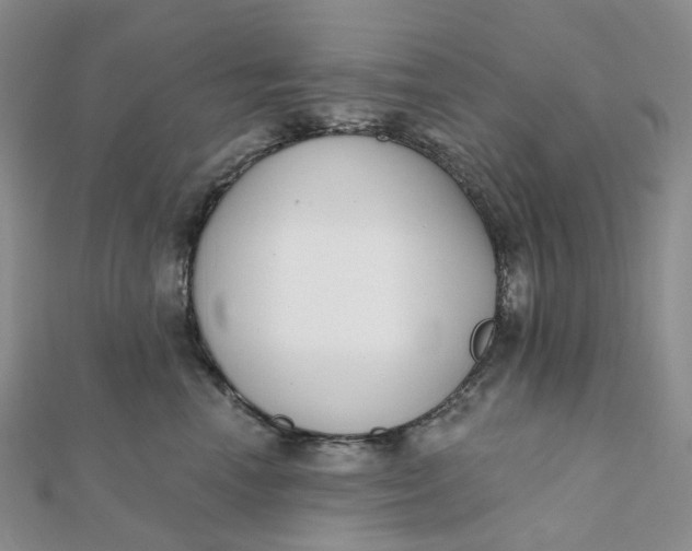 X0000112080666200908251105