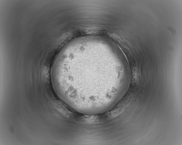 X0000112080667200908251105