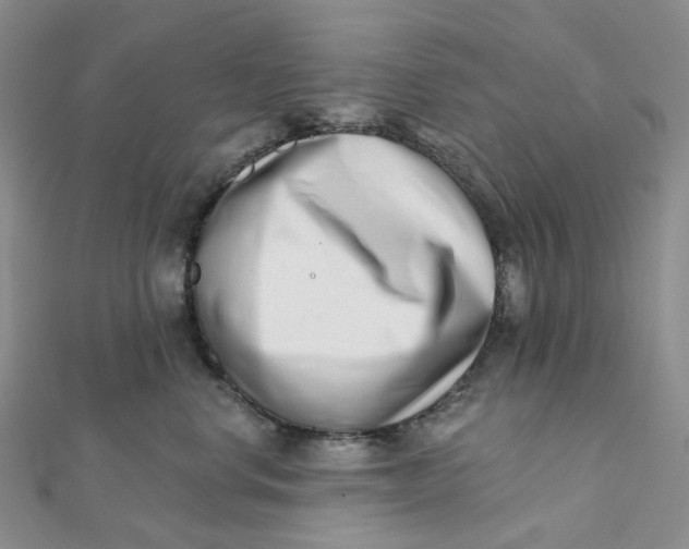 X0000112080668200908251105
