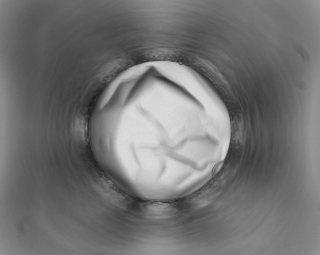 X0000112080669200908251106