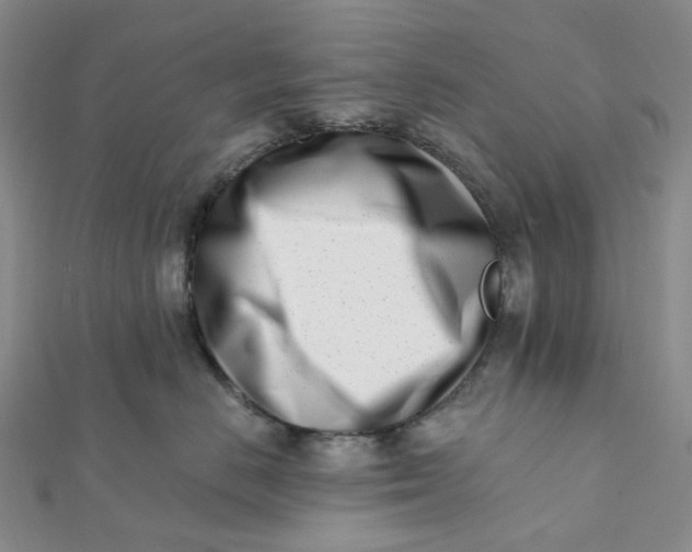 X0000112080670200908251106