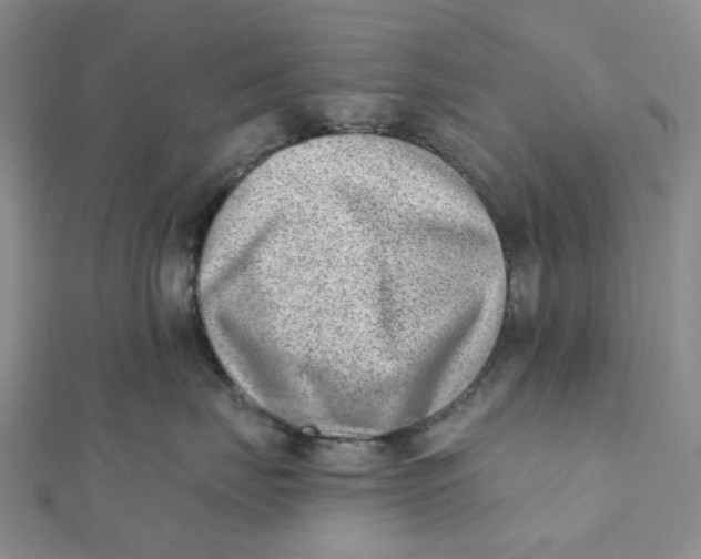 X0000112080671200908251106