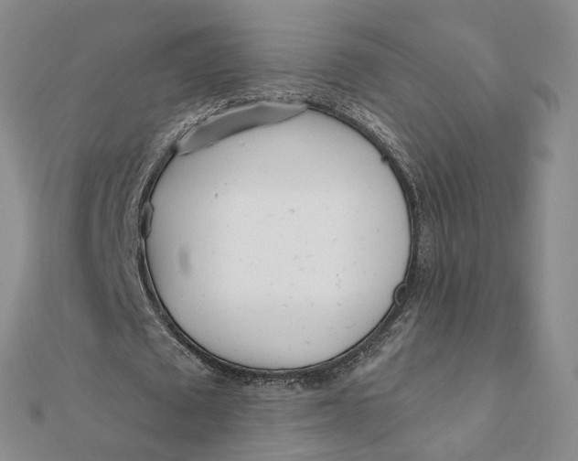 X0000112080673200908251105