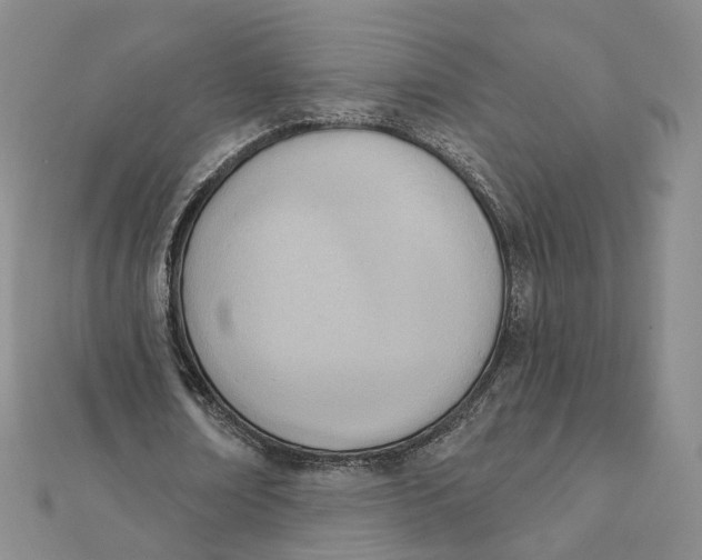 X0000112080674200908251105