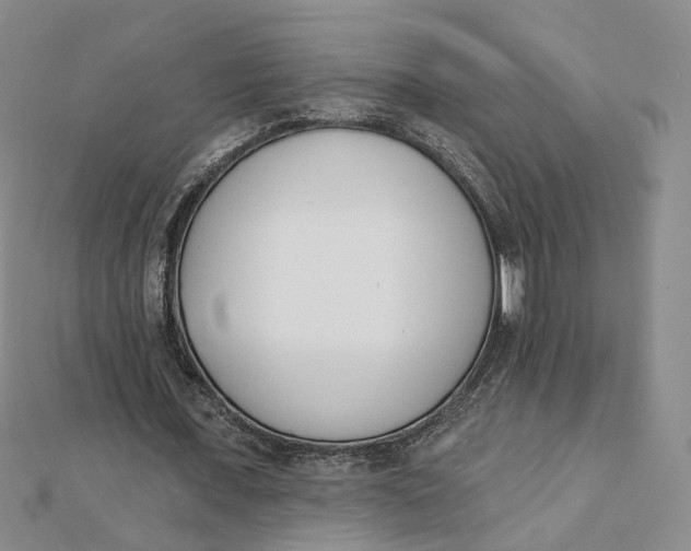 X0000112080675200908251105