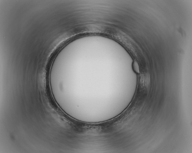 X0000112080676200908251105