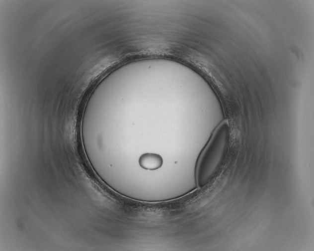 X0000112080677200908251105