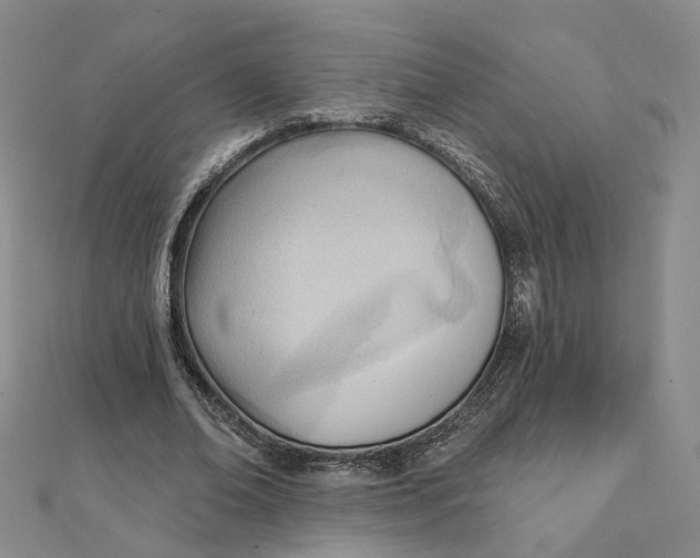 X0000112080678200908251105