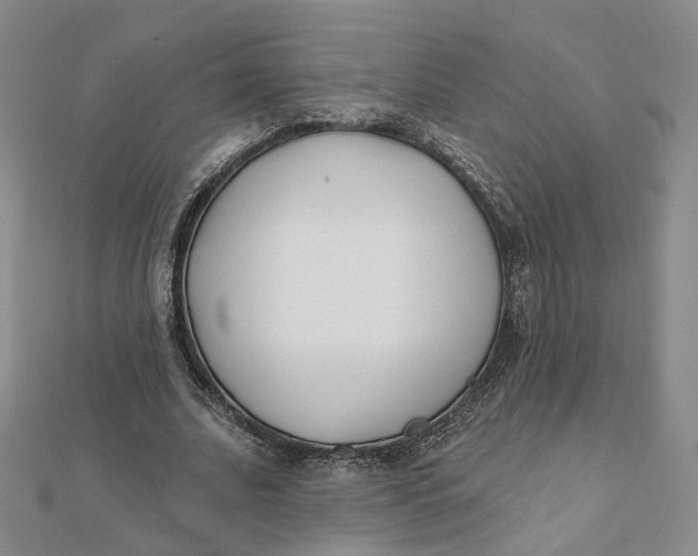 X0000112080679200908251105