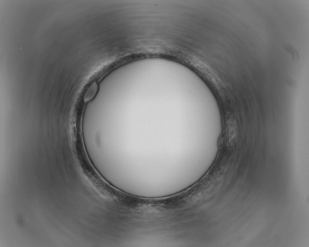 X0000112080680200908251105