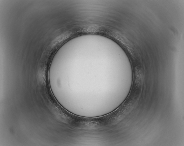 X0000112080681200908251105