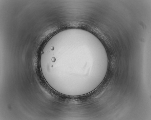 X0000112080683200908251105