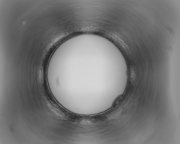 X0000112080684200908251105