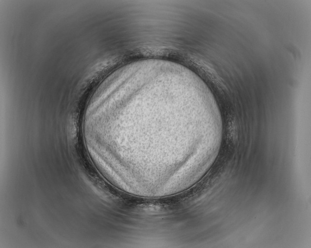 X0000112080687200908251105