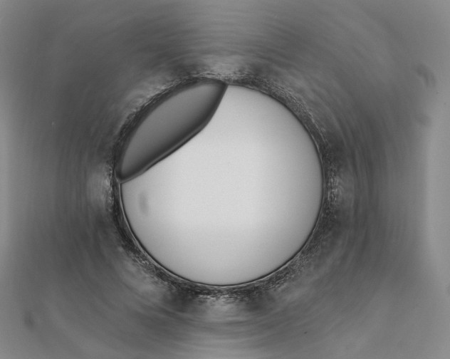 X0000112080688200908251105
