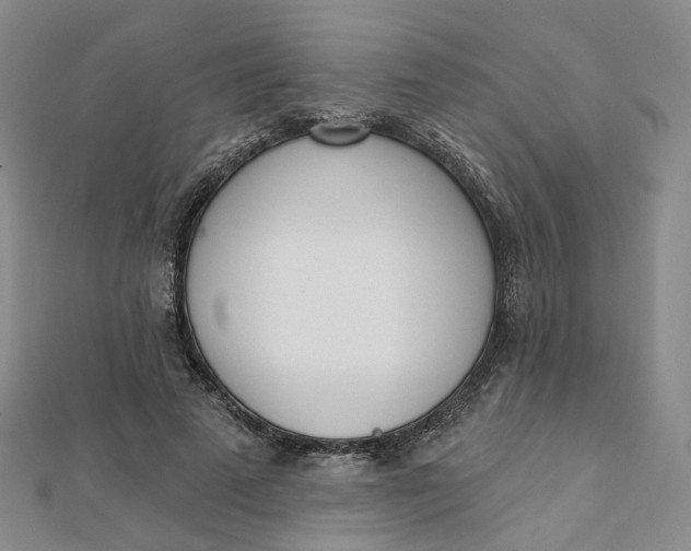 X0000112080689200908251105