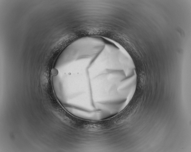 X0000112080691200908251105