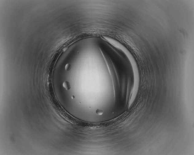 X0000112080692200908251105