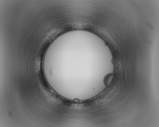 X0000112080694200908251104