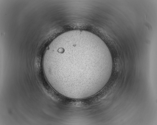 X0000112080695200908251104