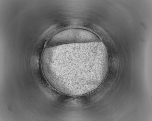 X0000112080696200908251104