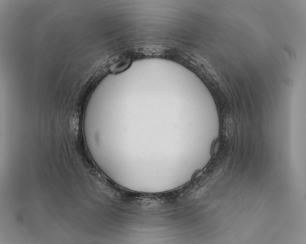 X0000112080697200908251104