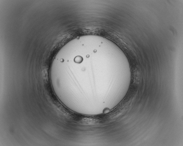 X0000112080699200908251104