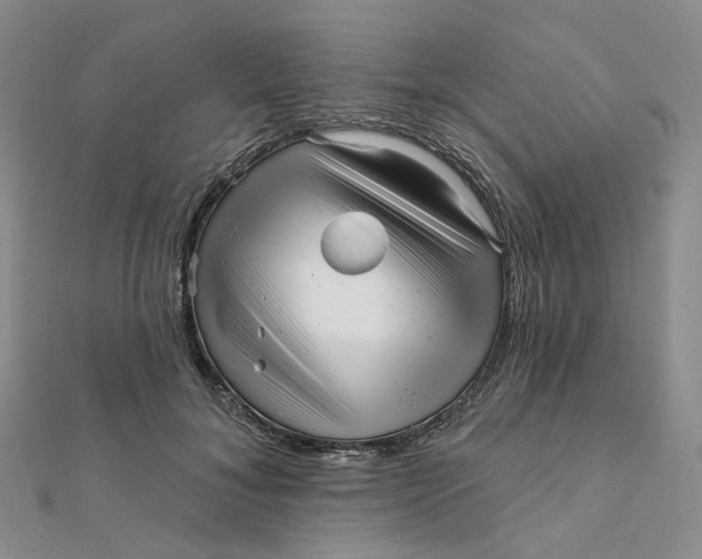 X0000112080700200908251104