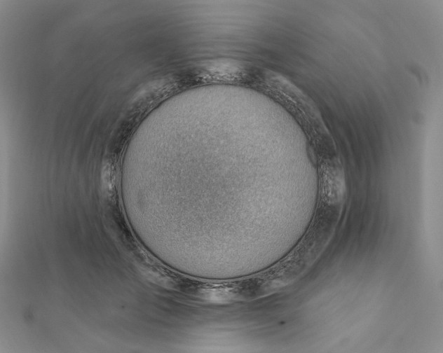 X0000112080701200908251104