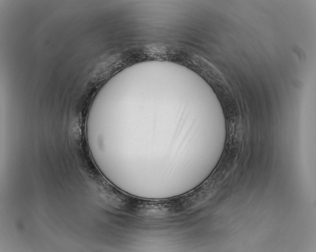 X0000112080702200908251104