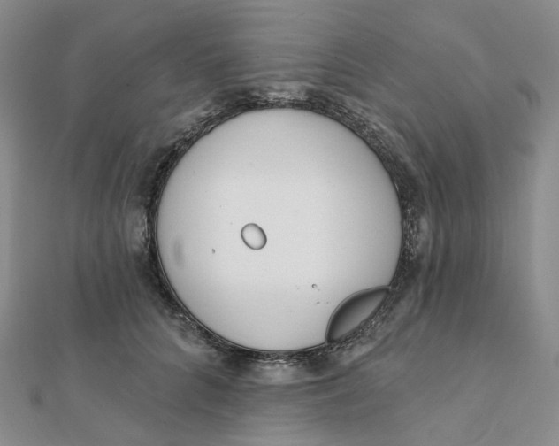 X0000112080704200908251104